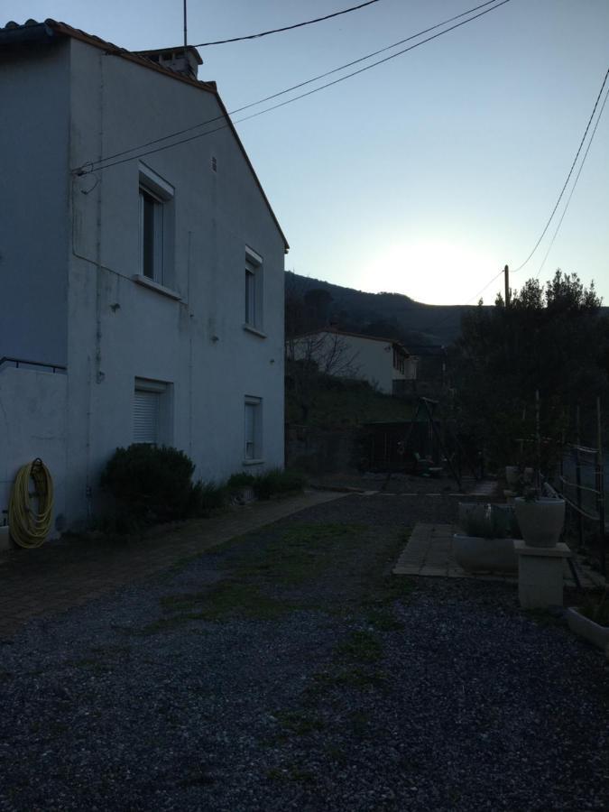 Appartement T1Bis Dans Un Mas Port Vendres Eksteriør bilde